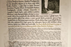 BIJELIVEZ20