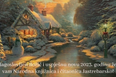 176733-boz