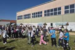 IMG-20260522-WA0007