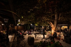 U-pjesnickim-dvoristima